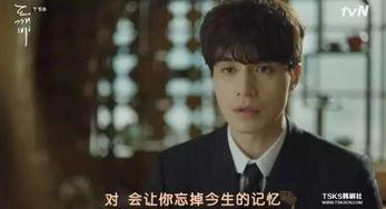 韩剧鬼怪在线观看,跨越千年的守护传奇